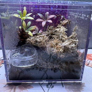 Jenny added a photo of their purchase