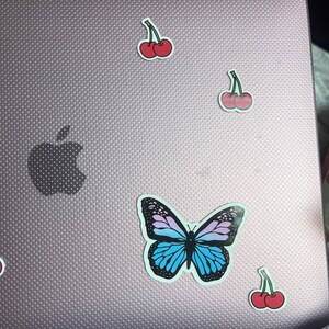 Raymi added a photo of their purchase