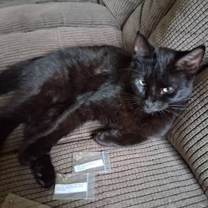 Etsy buyer added a photo of their purchase
