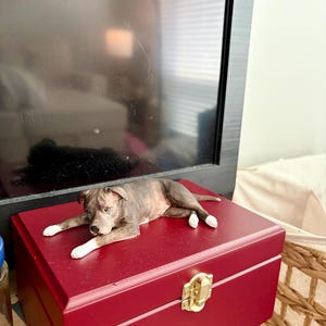 Laura added a photo of their purchase