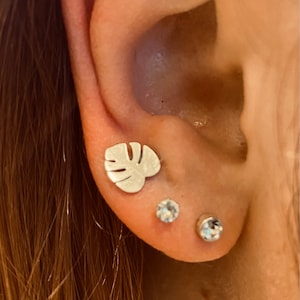 Lauren added a photo of their purchase