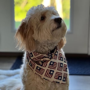 Sandy added a photo of their purchase