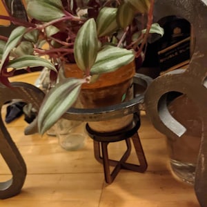Carolina added a photo of their purchase