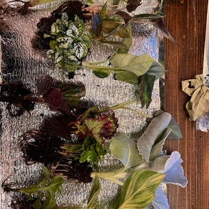 Kelly ha añadido una foto de su compra