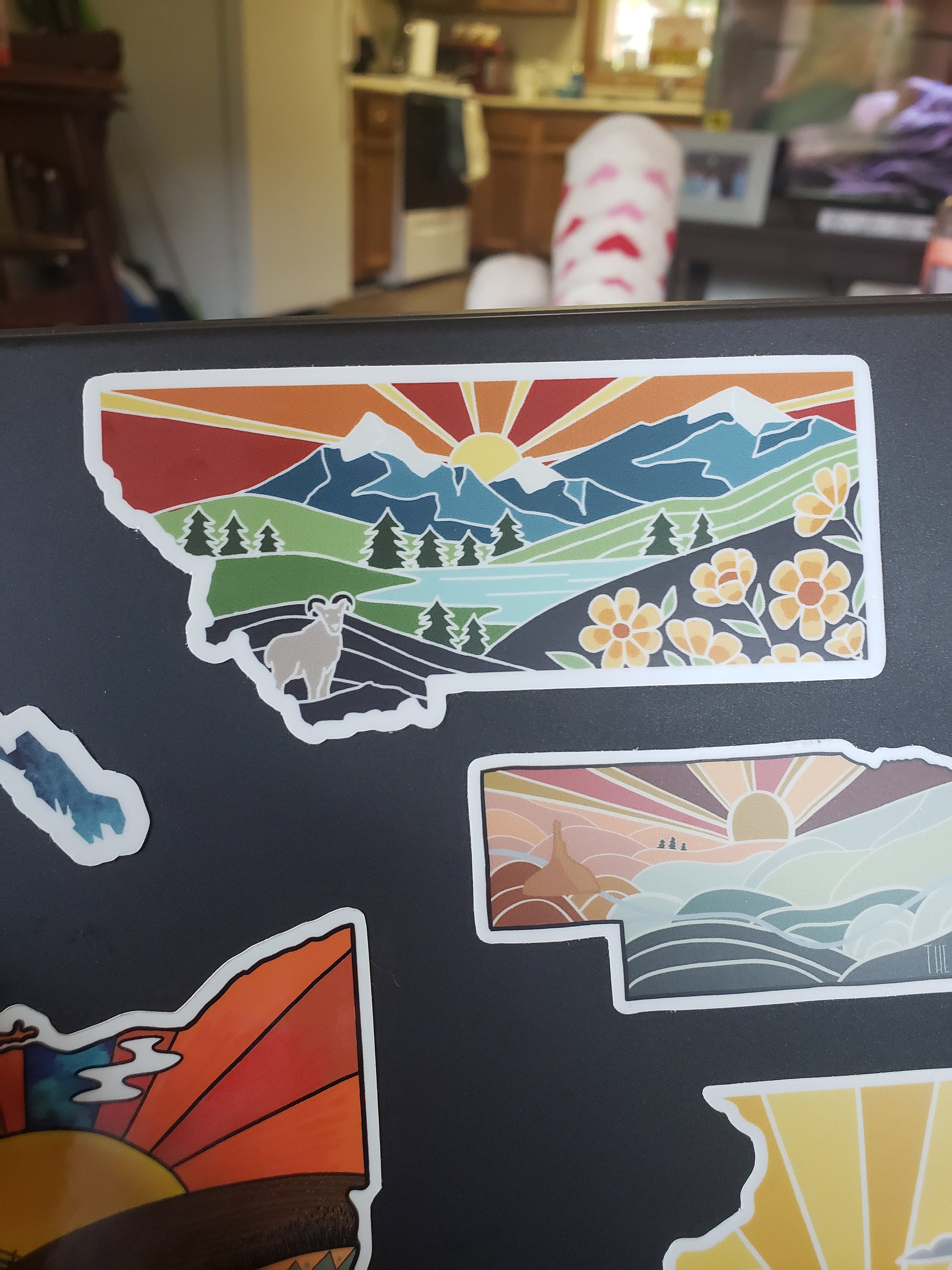 Montana Durable Sticker | High Quality Bumper Sticker | United States Vinyl Decal | Weatherproof Sticker | Water Bottle Sticker | 4&quot;