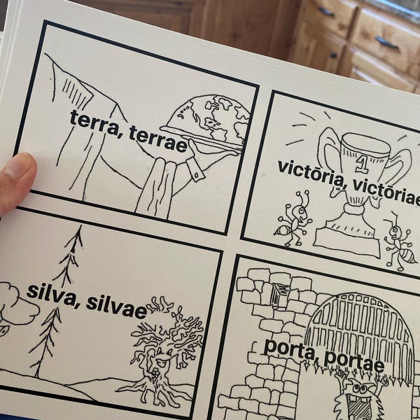Henle Latin Flashcards for Challenge A Flash Cards With Pictures ...