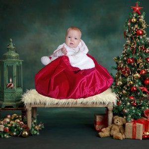 AIIKES Weihnachts-Hintergrundkulisse 10x10FT – Mit Fenster, Baum & Familie Motiv | Aus Vinyl Für Foto-Shootings & Partydekoration
