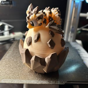 Lu added a photo of their purchase
