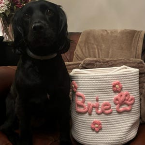Olivia added a photo of their purchase