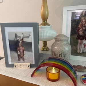 Lisa added a photo of their purchase