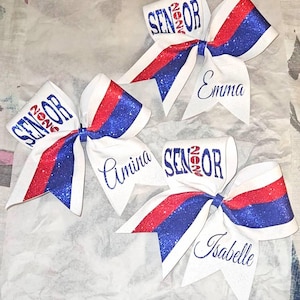 Custom Senior Cheer Bow/Softball Bow/Dance Bow
