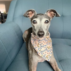 Anne added a photo of their purchase