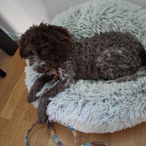 Manuela added a photo of their purchase