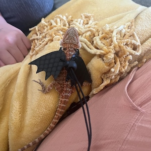 Desarei added a photo of their purchase