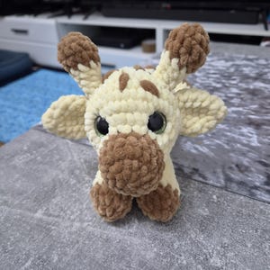 Sandra added a photo of their purchase