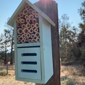 Joni added a photo of their purchase