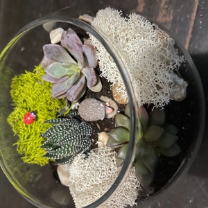 Kendra added a photo of their purchase