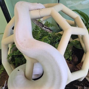 Fern ha añadido una foto de su compra