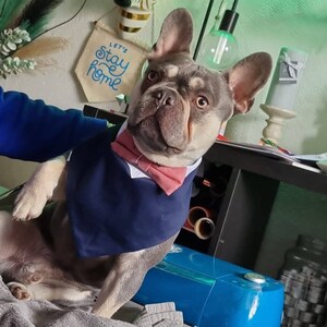 emma ha añadido una foto de su compra