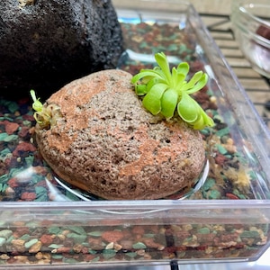Denver added a photo of their purchase