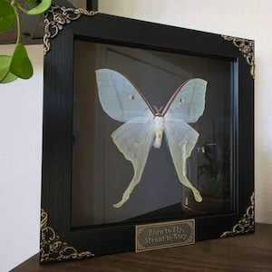 Taylor ha añadido una foto de su compra