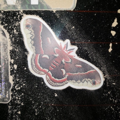 Become Moss Vinyl Decal - Etsy