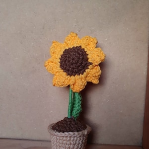 Monse added a photo of their purchase