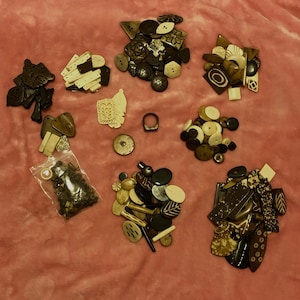 Lori added a photo of their purchase