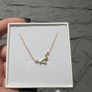 Amber added a photo of their purchase