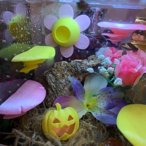 lisa added a photo of their purchase