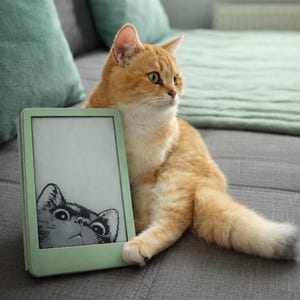 Morgana heeft een foto van de aankoop toegevoegd