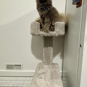 Kelly added a photo of their purchase