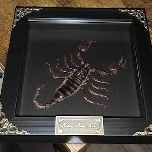 JD added a photo of their purchase