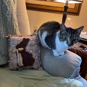 Kelly added a photo of their purchase