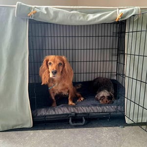 Friesinger added a photo of their purchase