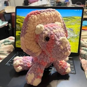 Hannah added a photo of their purchase