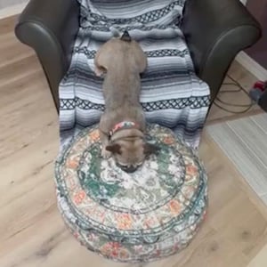 Bay added a photo of their purchase
