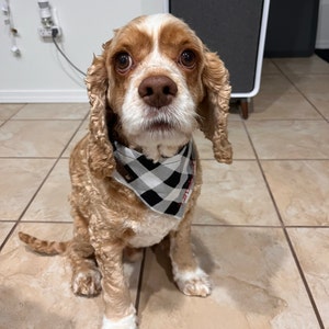 Erin added a photo of their purchase