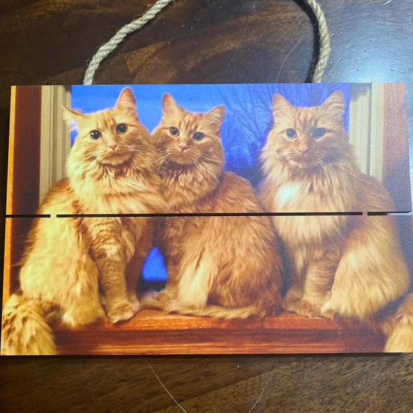 Stocking Christmas Stocking Name Tags Christmas Stocking Name Tags stocking-christmas-stocking-name-tags-christmas-stocking-name-tags