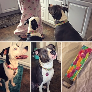 Rachel added a photo of their purchase