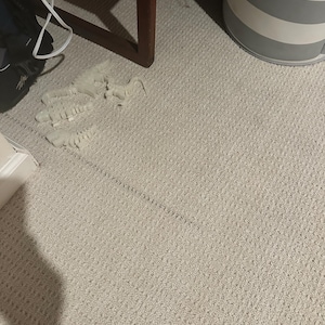 Tessa added a photo of their purchase