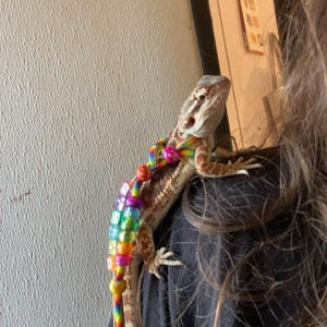 kamryn added a photo of their purchase