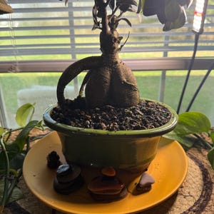 Rebecca added a photo of their purchase