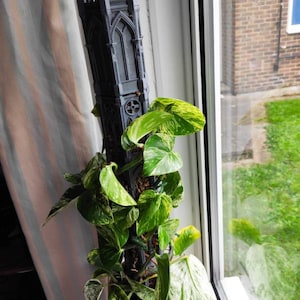 Gerda added a photo of their purchase