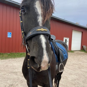 Kimberly added a photo of their purchase