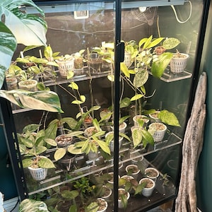 Kaprice added a photo of their purchase