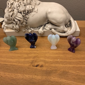 Lina added a photo of their purchase
