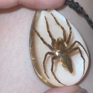 Jasper added a photo of their purchase