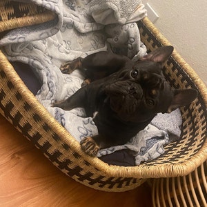 Janette added a photo of their purchase