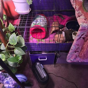 Suzanne added a photo of their purchase